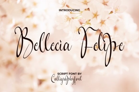 Bellecia Felipe: A Script Font for Elegant Digital Branding