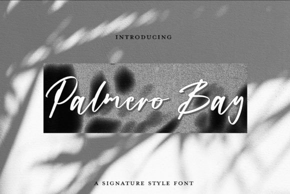 Palmero Bay: The Elegant Script Font for Branding and Design