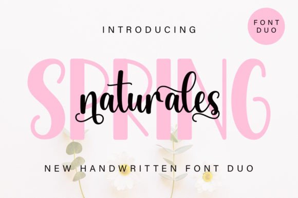 Spring Naturales Duo: A Font for Romantic Branding and Creative Expression